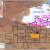 Lake Mackay potash farm-out area